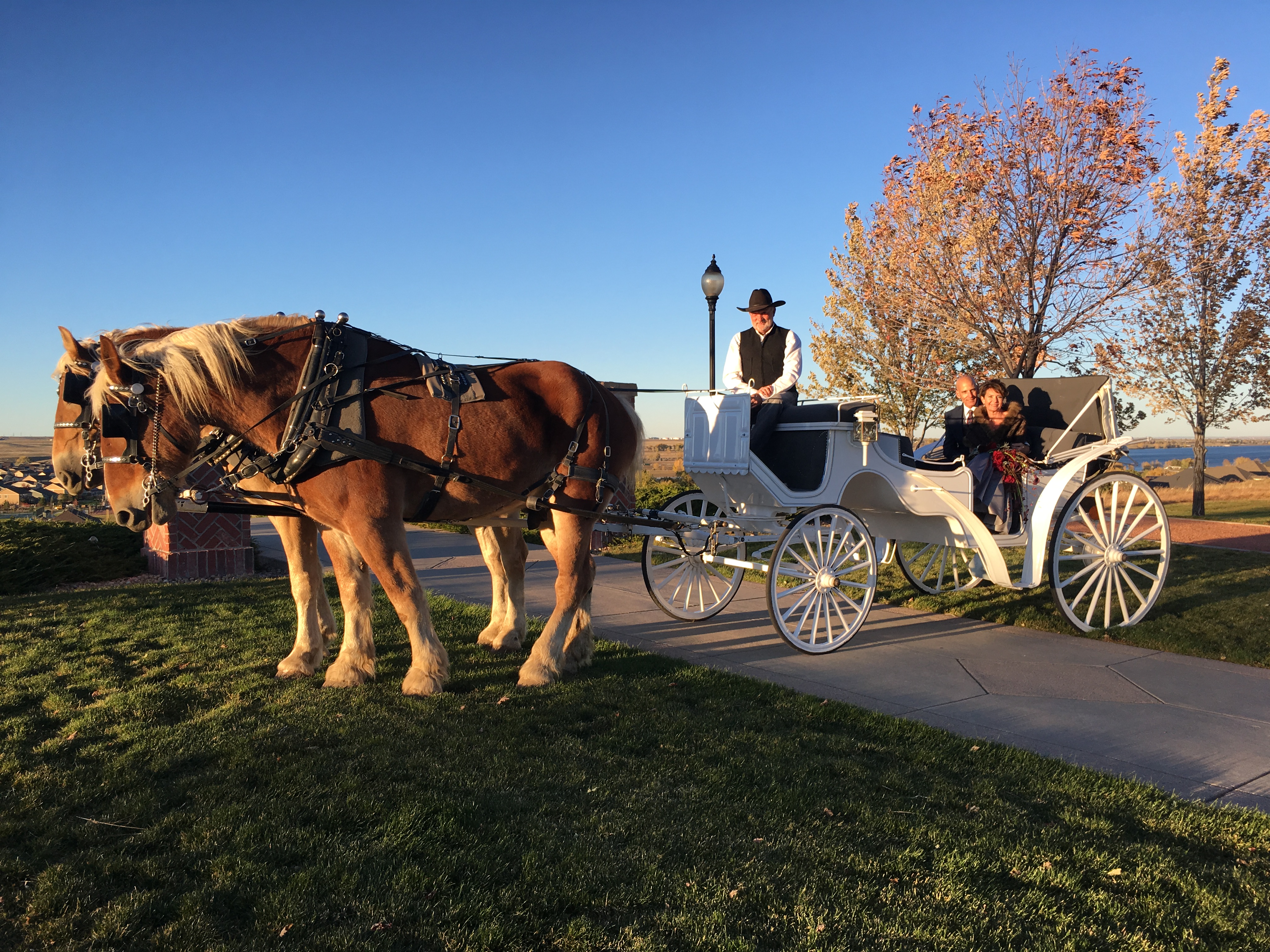 wedding Carriage2